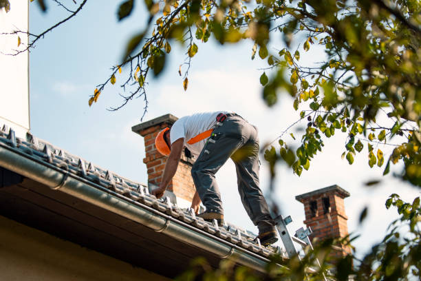 Roof Gutter Cleaning in Madisonville, TX